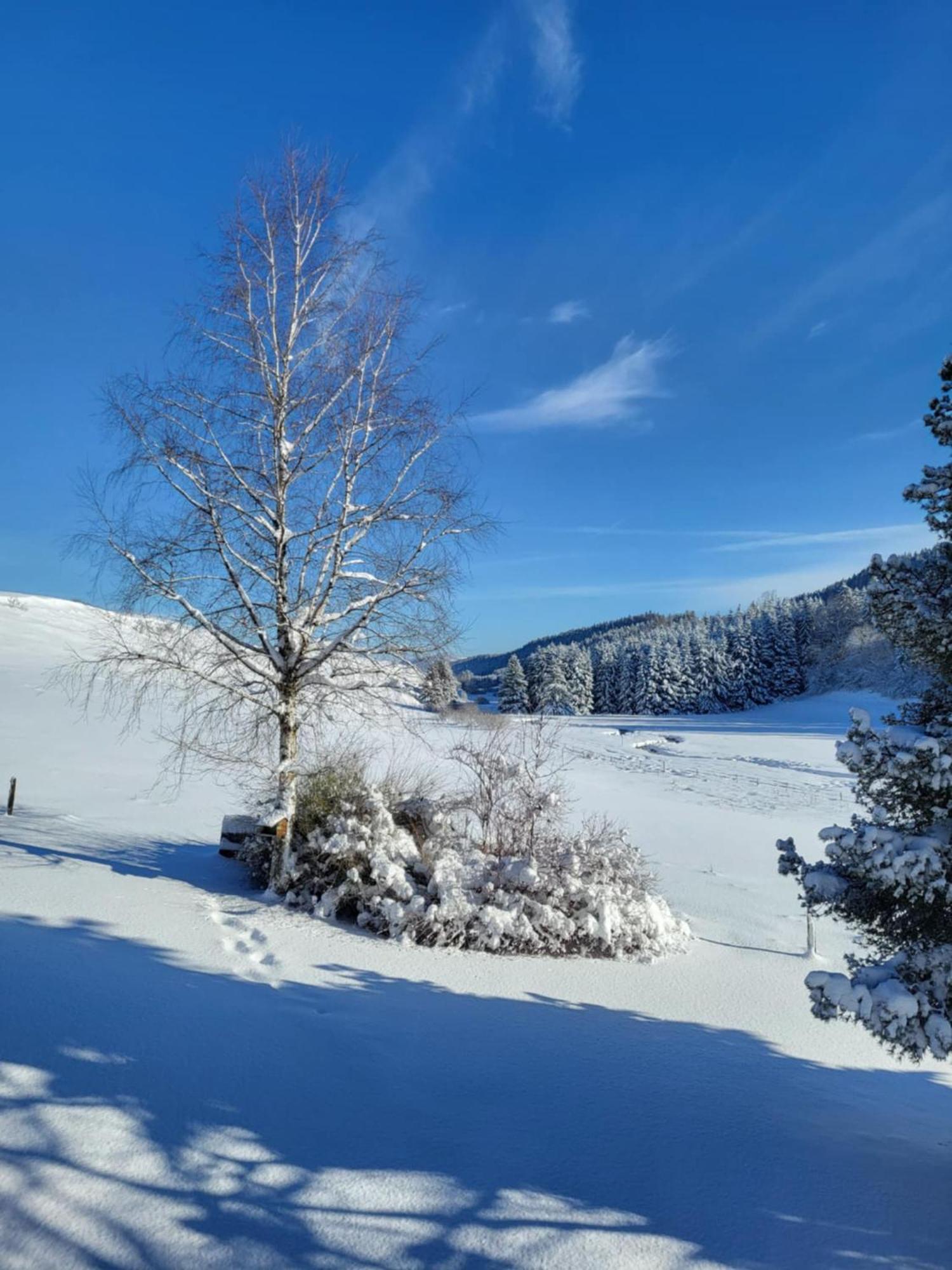 Hotel Auberge Du Grand Git La Chaux Neuve ภายนอก รูปภาพ